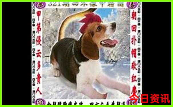 带孩子爬山去哪里比较好
