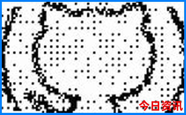 六月份适合去哪旅游